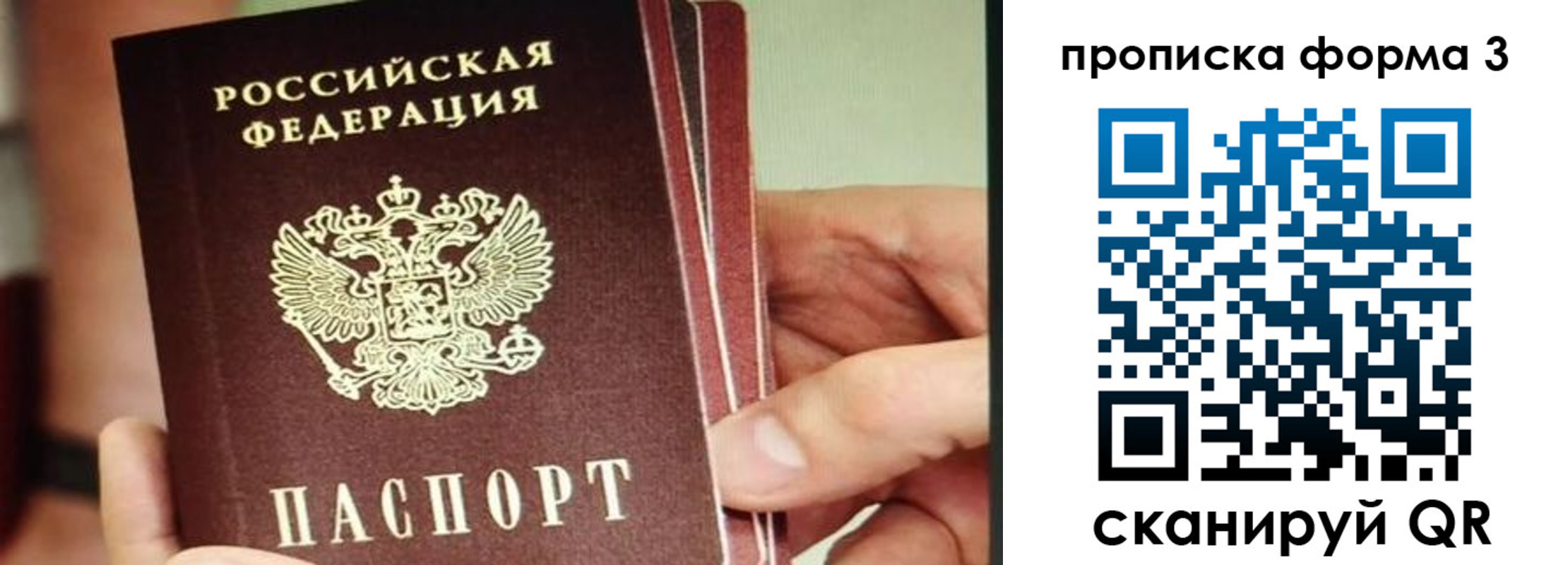 прописка законно в Смоленске